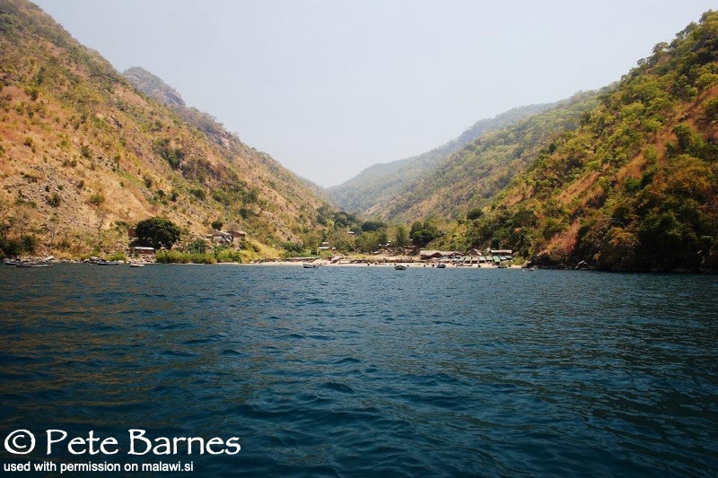 Lion's Cove 01